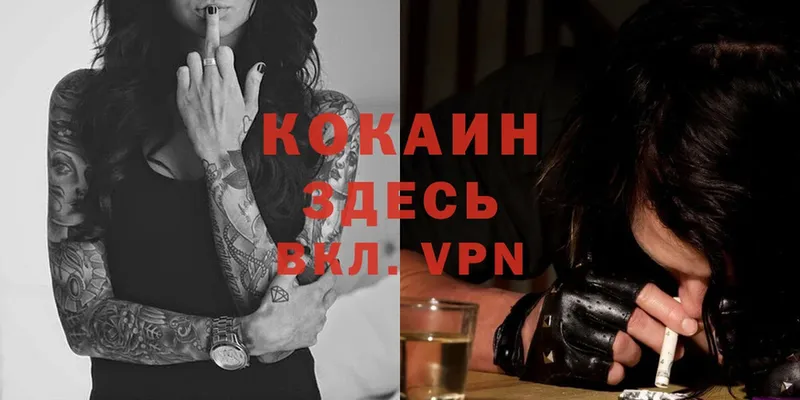 COCAIN Эквадор Коряжма